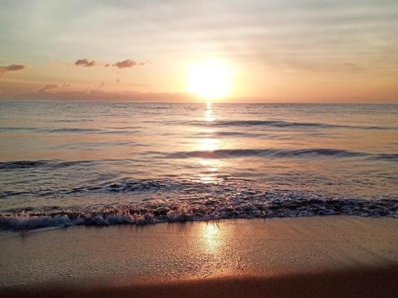 U Paradisu, T2 Au Calme Avec Acces Prive Mer Daire Biguglia  Dış mekan fotoğraf